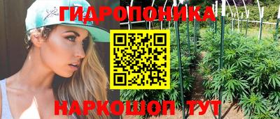 скорость Кимры