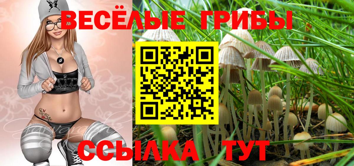 Псилоцибиновые грибы мухоморы Балашов