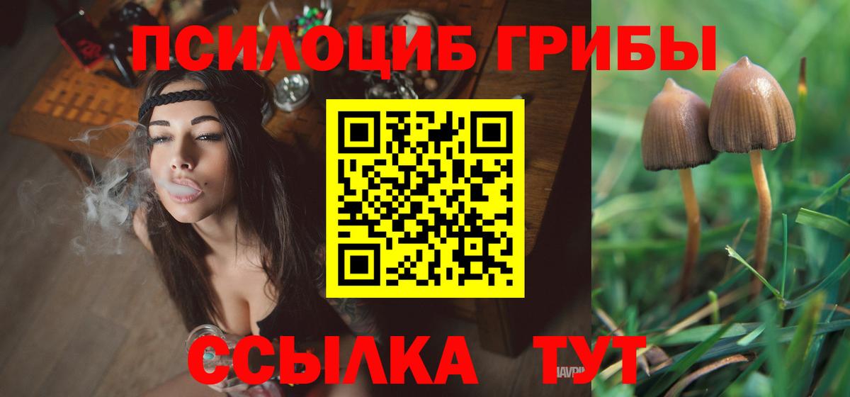 Псилоцибиновые грибы Psilocybe  Галлюциногенные грибы GOLDEN TEACHER  дарнет шоп  Балашов  Вход с VPN 